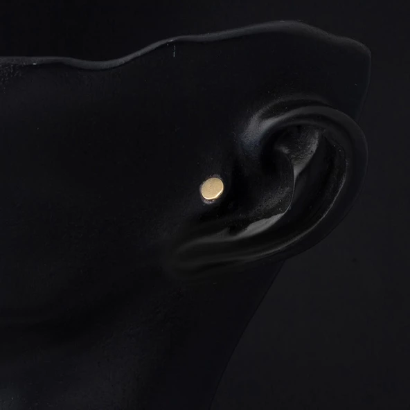 14 Ayar Altın Tragus Piercing Küpe - Resim 2