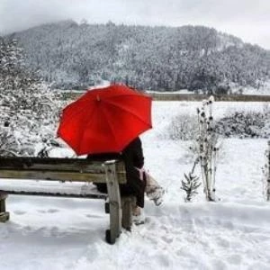 Kırmızı - Resim 7