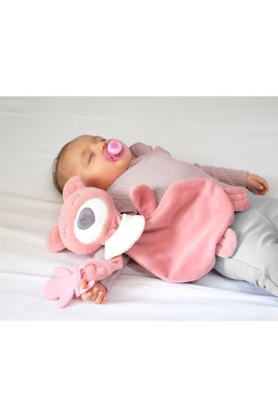 Babyjem Diş Kaşıyıcılı Uykucu Ayıcık Gül Kurusu ürün görseli 1
