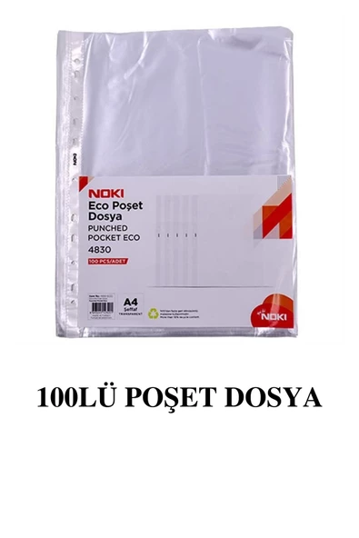 10 Renk Telli Dosya ve 100lü Poşet Dosya - Resim 2