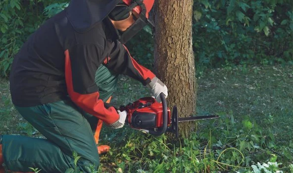 Einhell GC-PC 2040 I Benzinli Ağaç Kesme - Resim 3