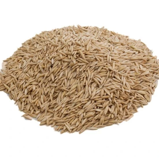 Yulaf Tohumu 1KG PAKETLERDE ürün görseli 1