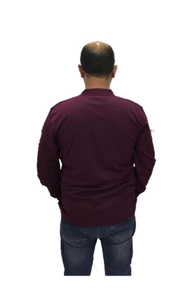 Polo Yaka Erkek Sweatshirt - Resim 5