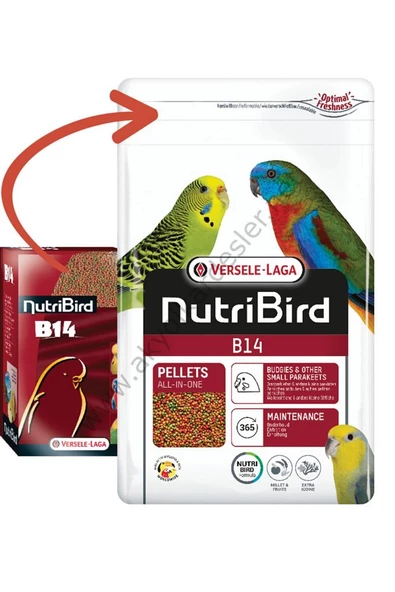 Nutribird B14 Muhabbet Kuşları Ve Paraketler Için Meyveli Pelet Yem 500 Gr ürün görseli 1