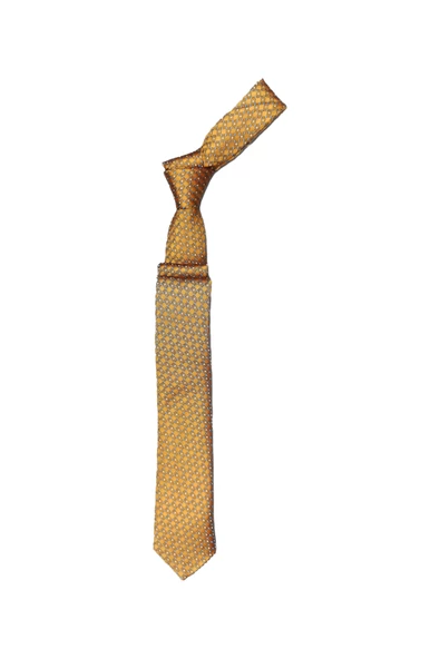 Cengiz İnler Nokta Çizgili Mikrofiber Erkek Kravat Aksesuar ürün görseli 1