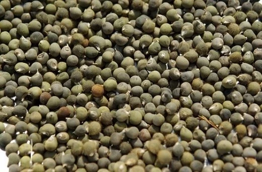 Dökme Baharat Bamya Tohumu 250 gr ürün görseli 1