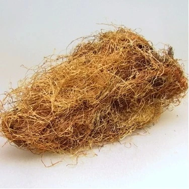 Dökme Bitkiler Mısır Püskülü -100 Gr ürün görseli 1