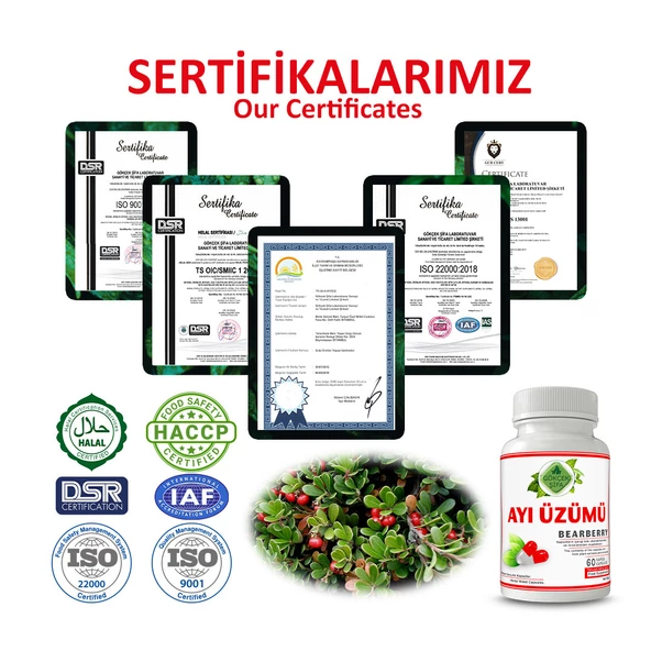 Ayı Üzümü Kapsül (Bearberry Capsule)  60 Adet - Resim 5