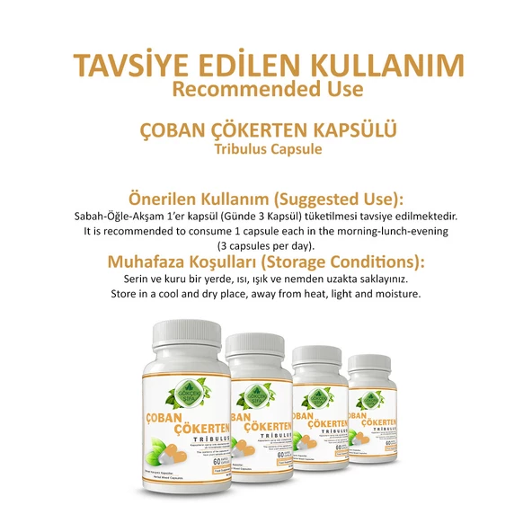 Çoban Çökerten Kapsül (TRİBULUS CAPSULE) 60 Adet - Resim 4