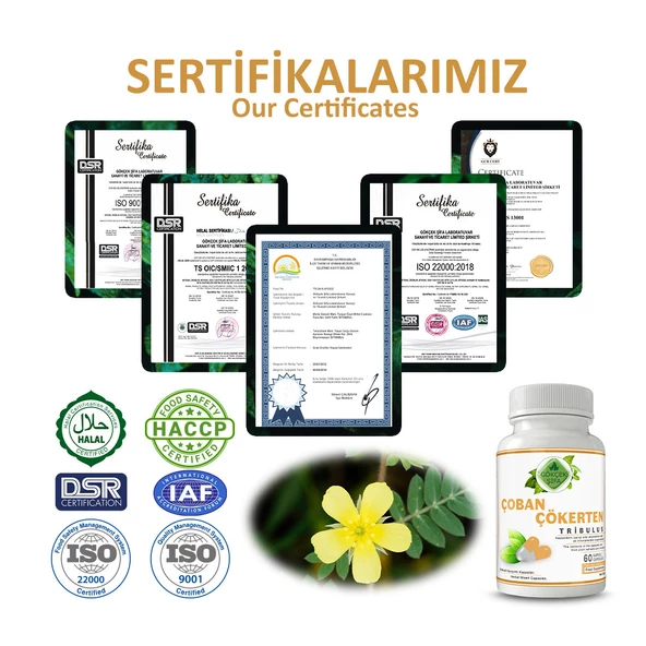 Çoban Çökerten Kapsül (TRİBULUS CAPSULE) 60 Adet - Resim 5