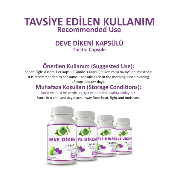 Deve Dikeni Kapsül (MİLK THİSTLE CAPSULE) 60 Adet - Resim 4