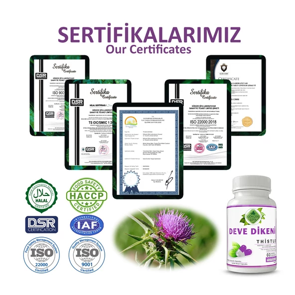 Deve Dikeni Kapsül (MİLK THİSTLE CAPSULE) 60 Adet - Resim 5