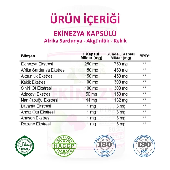 Ekinezya Kapsül (Echinacea Capsule) 60 Adet - Resim 3