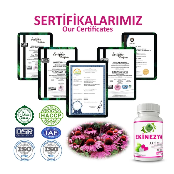 Ekinezya Kapsül (Echinacea Capsule) 60 Adet - Resim 5