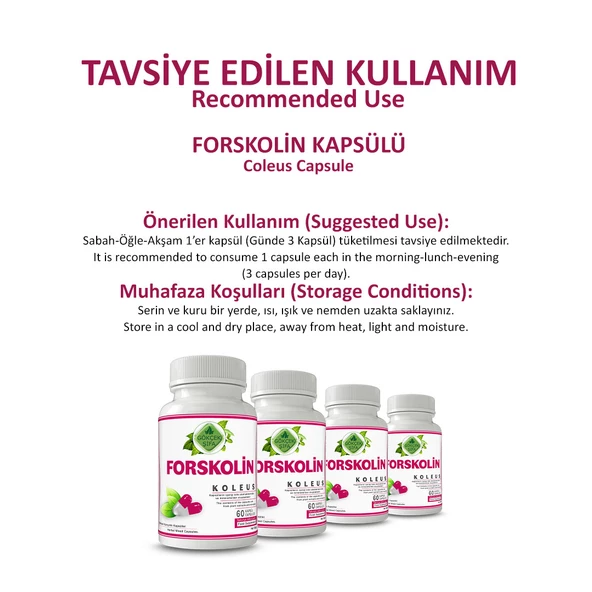 Forskolin Kapsül (COLEUS CAPSULE) 60 Adet - Resim 4