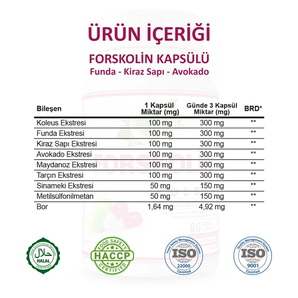 Forskolin Kapsül (COLEUS CAPSULE) 60 Adet - Resim 3