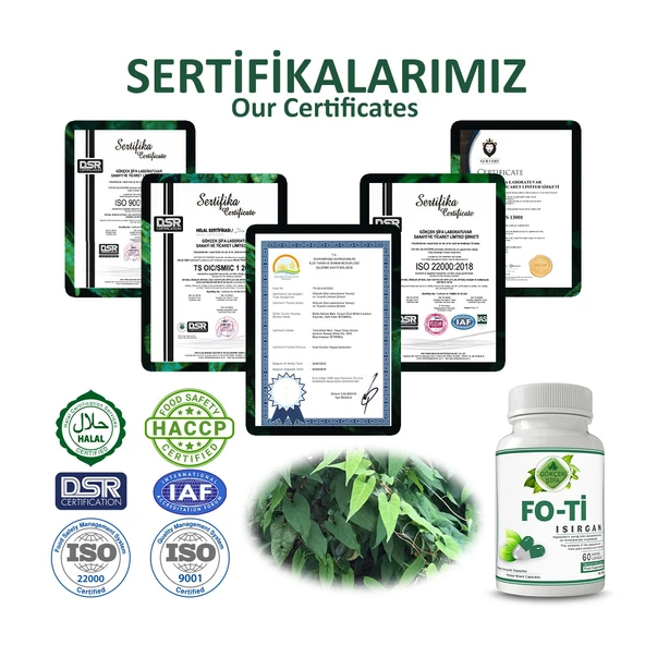 Fo-ti Kapsül (ISIRGAN KAPSÜL) 60 Adet - Resim 5