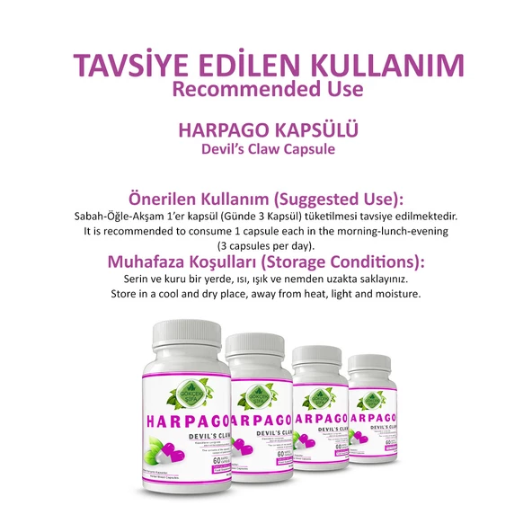 Harpago Kapsül (DEVİL'S CLAW CAPSULE) 60 Adet - Resim 4
