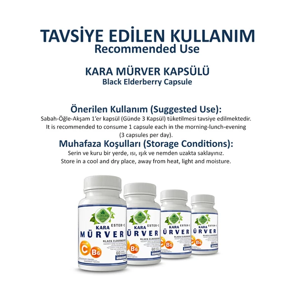 Kara Mürver Kapsül (Black Elderberry Capsule)  60 Adet - Resim 4