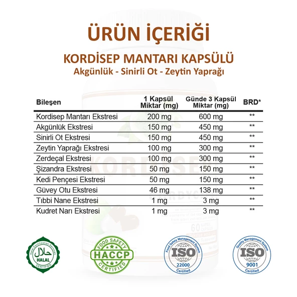 Kordisep Kapsül (CORDYCEPS CAPSULE) 60 Adet - Resim 3