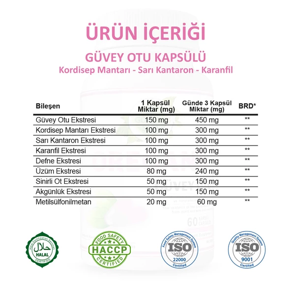 Güvey Otu Kapsül (OREGANO CAPSULE) 60 Adet - Resim 3