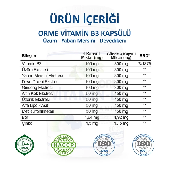 Orme Vitamin B3 Kapsül (VİTAMİN B3 CAPSULE) 60 Adet - Resim 3