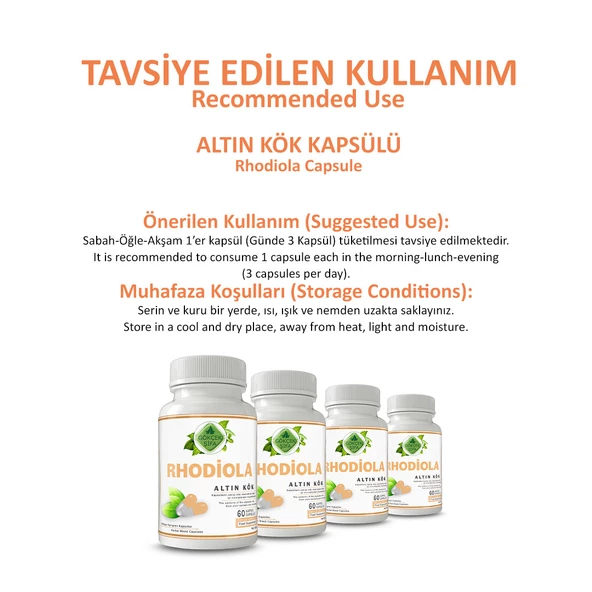 Altın Kök Kapsül (RHODİOLA CAPSULE) 60 Adet - Resim 4