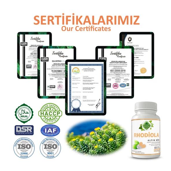 Altın Kök Kapsül (RHODİOLA CAPSULE) 60 Adet - Resim 5