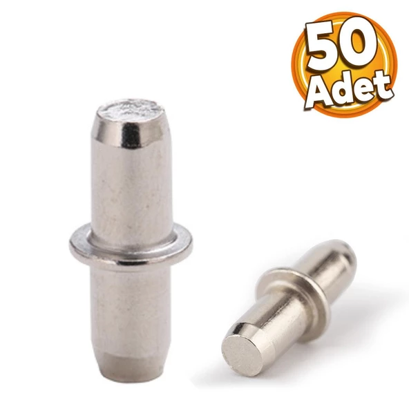 Raf Pimi Cam Ahşap Metal Raf Tutucu Çivisi Mobilya Dolap Pimi Metal (50 ADET) ürün görseli 1