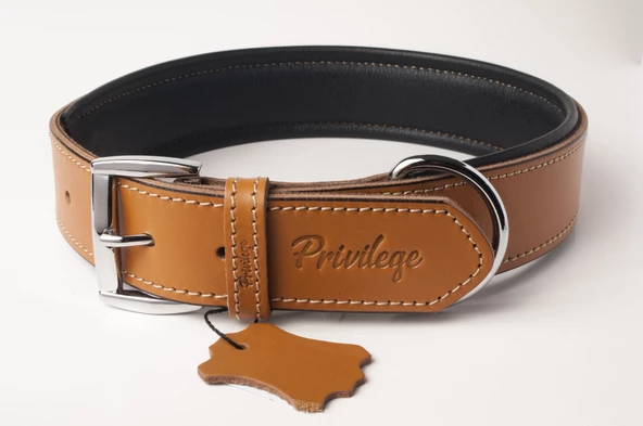 Privilege Hakiki Deri Köpek Boyun Tasması XXS Camel 2x22-30 cm ürün görseli 1