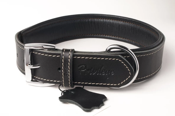 Privilege Hakiki Deri Köpek Boyun Tasması XXS Siyah 2x22-30 cm ürün görseli 1