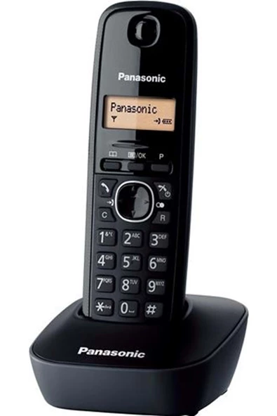 Panasonic KX-TG1611 Dect Telefon ürün görseli 1