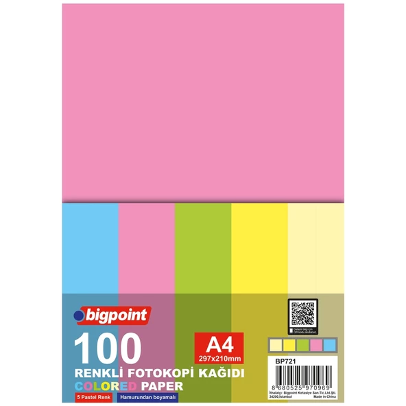 Bigpoint A4 Renkli Fotokopi Kağıdı 5 Pastel Renk 100'lü Paket ürün görseli 1