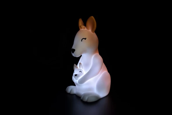 Dhink Anne Bebek Kangru Gece Lambası - Resim 4