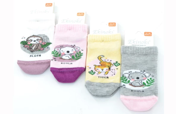 Ekinoks 4 lü Tylra Koala Desenli Kız Çocuk Patik Çorap ürün görseli 1