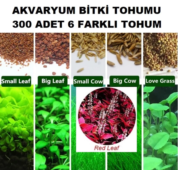 300 Adet 6 Farklı Akvaryum Bitkisi Tohumu + 10 Adet Karışık Gül Tohumu (KARGO BEDAVA) ORKIDEY001861 ürün görseli 1