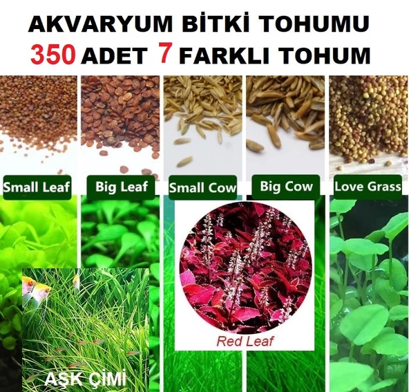350 Adet 7 Farklı Akvaryum Bitkisi Tohumu + 10 Adet Karışık Gül Tohumu (KARGO BEDAVA) ORKIDEY002281 ürün görseli 1
