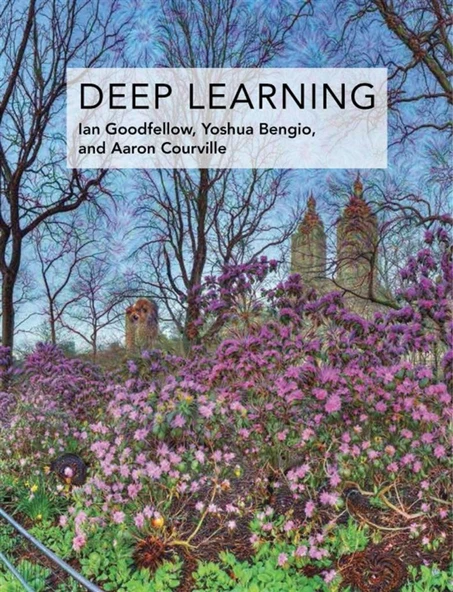 Deep Learning  -  Goodfellow ürün görseli 1