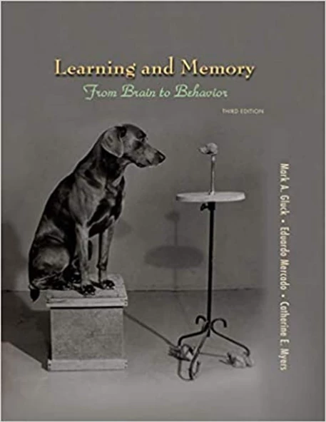 learning and memory from brain to behavior 3rd (gluck, mercado, myers) ürün görseli 1