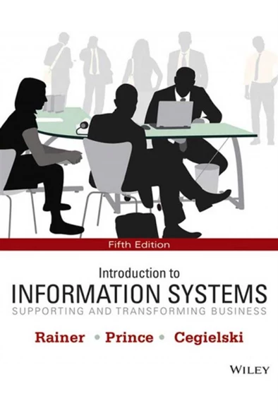 introduction to information systems 5th STB (rainer, cegielski) ürün görseli 1