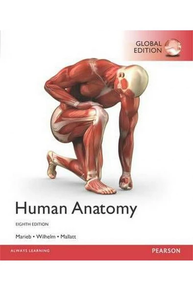 human anatomy 8th (marieb, wilhelm, mallatt) ürün görseli 1