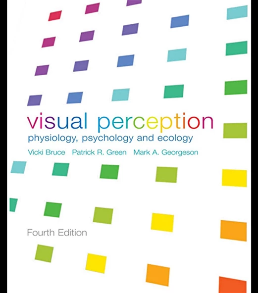 visual perception (bruce, green, georgeson) ürün görseli 1