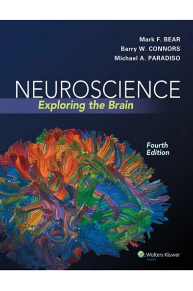 neuroscience exploring the brain 4th (bear, connors, paradiso) ürün görseli 1