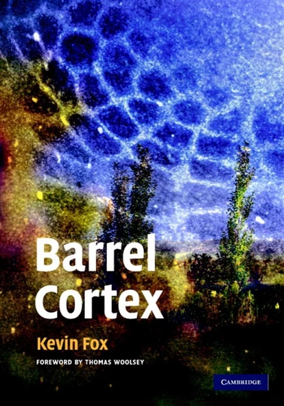 barrel cortex (kevin fox) ürün görseli 1
