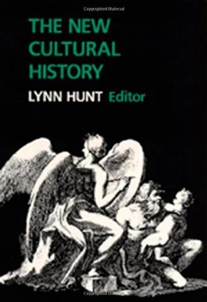 the new cultural history (lynn hunt) ürün görseli 1