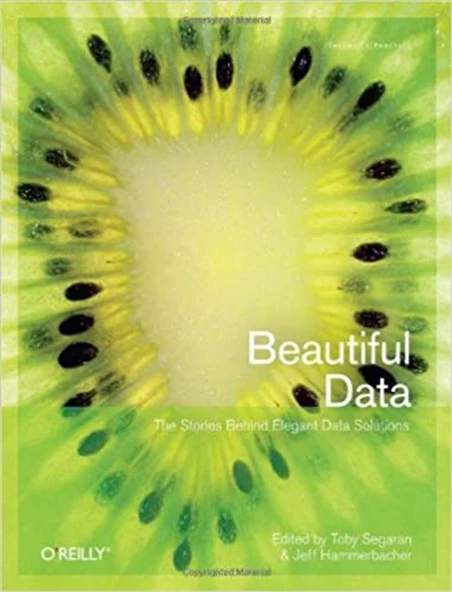 beautiful data (segaran, hammerbacher) ürün görseli 1