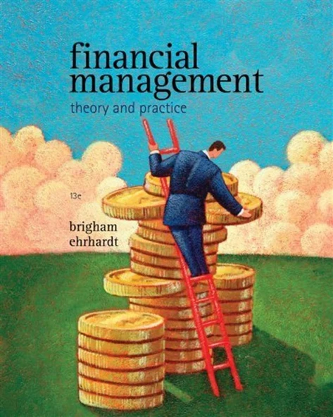 financial management theory and practice 13th (ehrhardt, brigham) ürün görseli 1