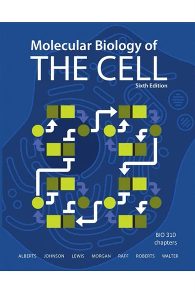 molecular biology of the cell 6th (bruce alberts, alexander johnson) ürün görseli 1