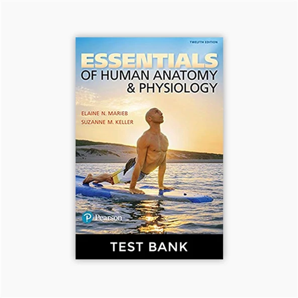 essential of human anatomy and physiology 12th (marieb, keller) ürün görseli 1
