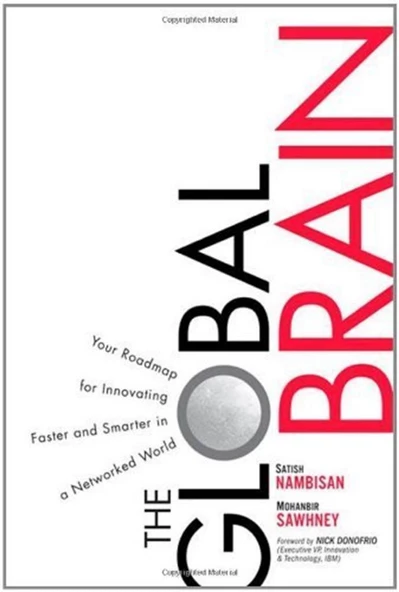 the global brain (satish nambisan) ürün görseli 1